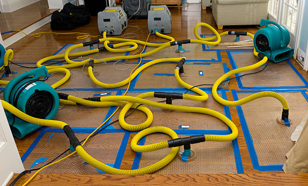 Professional Flood Damage Restoration technician working in Olympia, WA